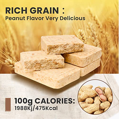 BDH Peanut Emergency Food Ration Bars (5 Day Package) – 12 x 120g