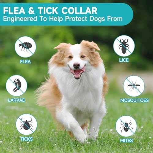 Flea & Tick Collar for Dogs – 4-Pack, 32 Months Protection, Adjustable
