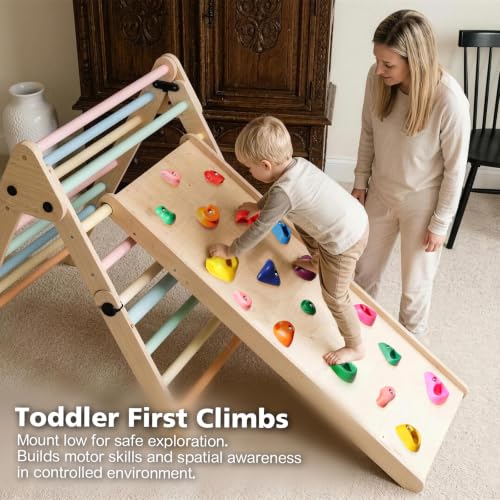 32 Multi-Size Rock Climbing Holds Set - Multi-Color for Kids & Adults