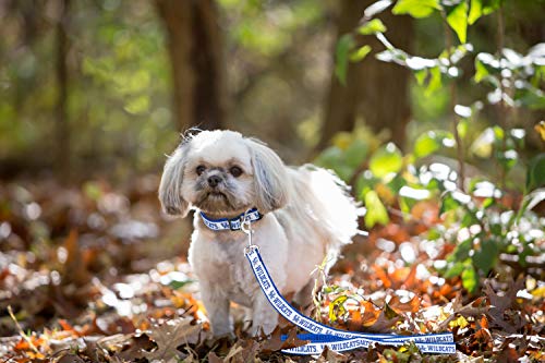 NCAA Dog Leash - Medium Kentucky Wildcats, Durable Nylon