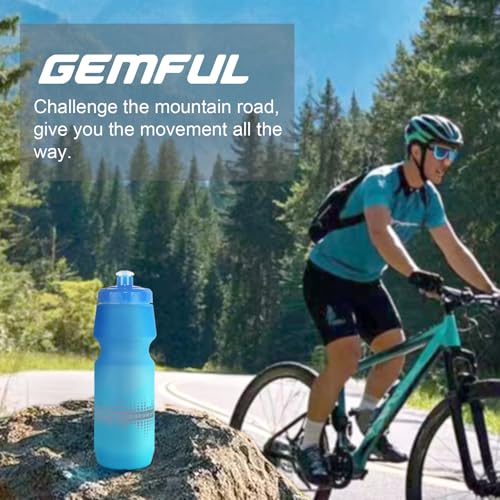 24oz Cycling Water Bottles 2 Pack - Gradient Black White, BPA-Free, Leak-Proof
