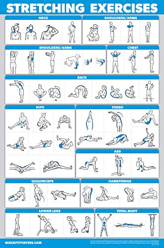 QuickFit Stretching Workout Exercise Poster - Laminated 18" x 24"