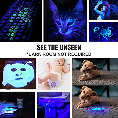 Lumintop 365nm UV Flashlight, IP68 Waterproof Black Light for Pet Stains & Scorpion Hunting