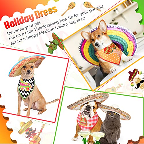 Cinco De Mayo Dog Bandanas - 3 Pack Taco Cactus Design