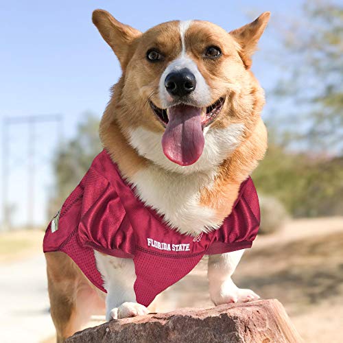 Florida State Seminoles Dog Jersey - NCAA Licensed Small Pet Apparel