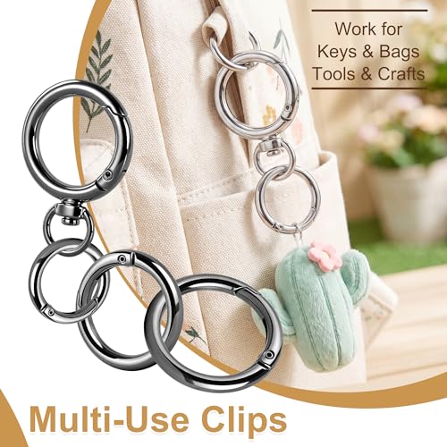 16PCS Round Carabiner Clips Set - Keyrings for DIY & Organizing