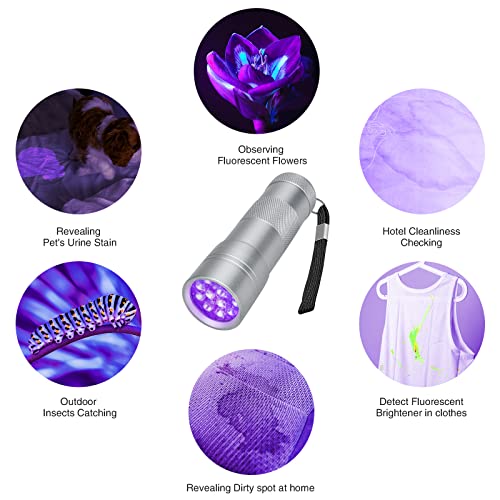 UV Flashlight - 12 LED 395nm Handheld Black Light - Silver