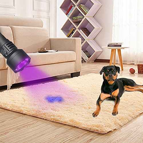 TATTU U2 UV Flashlight Rechargeable 395nm Black Light Torch Blacklight 10W Ultraviolet LED Lamp with Micro USB Charging Cable