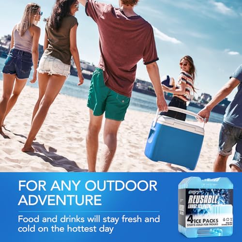 Everlasting Ice RX Large Reusable Cooler Ice Packs 4 Pack with Handle - Long Lasting, BPA Free, Extended Cooling for Camping, Fishing, Beach