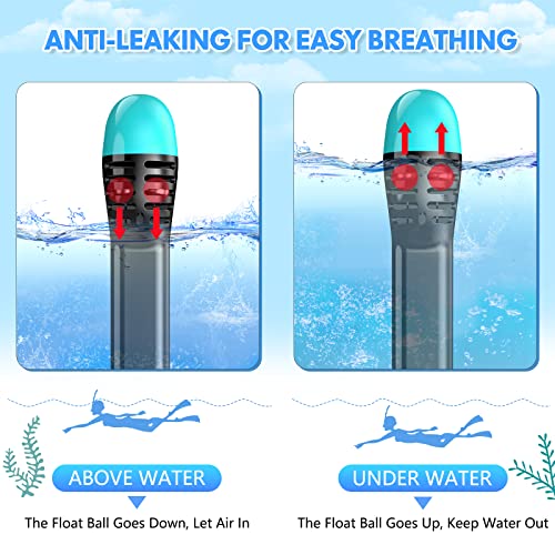 Full Face Snorkel Mask with Detachable Camera Mount - Black Green+Black-S/M