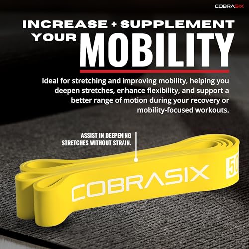 COBRASIX 6-Piece Resistance Band Set with Handles & Door Anchor for Full-Body Workout