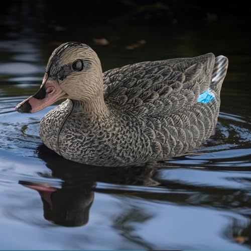 Realistic Mallard Duck Decoy (1) for Hunting & Ornament - Cifavor