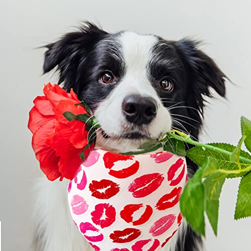 Valentine's Day Pet Bandana Set - Heart & Kiss Print - Large