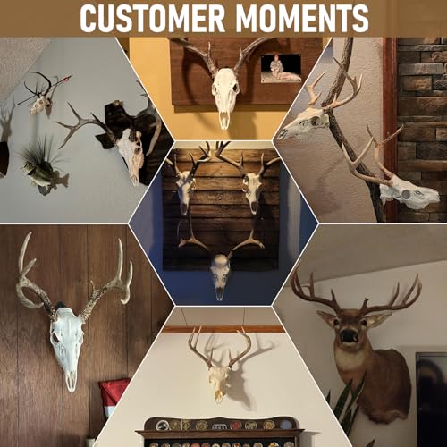 MSSOHKAN Mount Skull Hanger, for Hanging Deer Mule Antelope Coyote