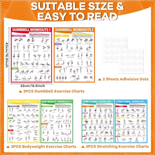 6PCS Colorful Workout Posters Set for Home Gym - Exercise Charts