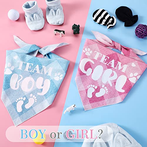 2 Pack Gender Reveal Dog Bandanas - Pink & Blue
