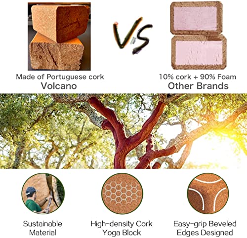 Cork Yoga Blocks 2 Pack - Natural Non-Slip Blocks, 9"x6"x4"