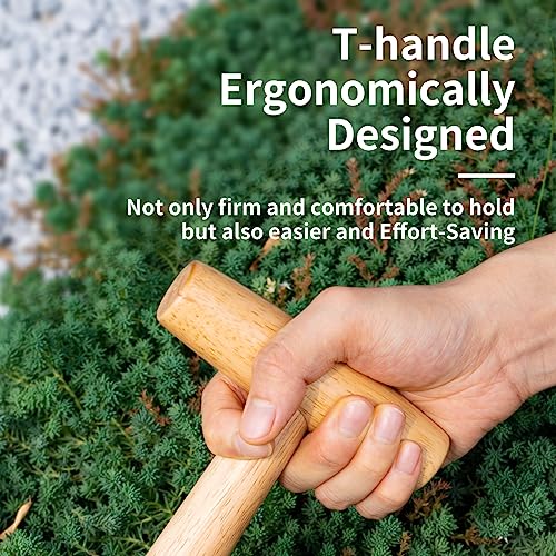 FLORA GUARD Hand Dibber Garden Tool, Seed Planter Tool with Wood Handle for Sowing Seed - 5" Seed Dispenser for Planting Steel Garden Dibber, Transplanting Plants,Planting Bulb,Digging