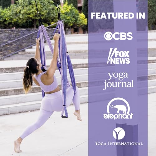 Yoga Trapeze Swing Set - Back Pain Relief & Inversion Therapy - Purple