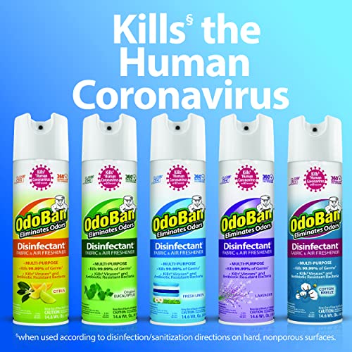 Continuous Spray Disinfectant and Odor Eliminator - Lavender, 14.6 oz