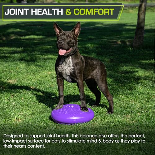 ProsourceFit Core Balance Disc Trainer 14-Inch Purple with Hand Pump