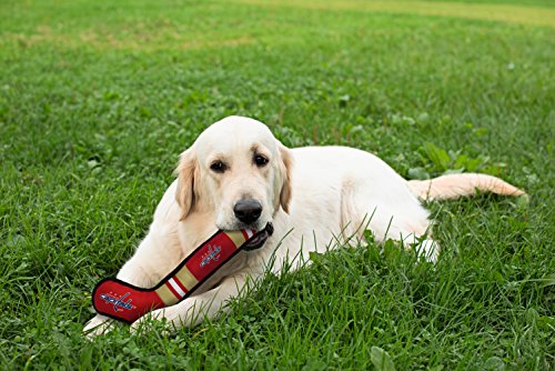 Pets First NHL Washington Capitals Hockey Stick Dog Toy - Tough Nylon Squeaker, 16 Inch, Licensed Sports Pet Toy