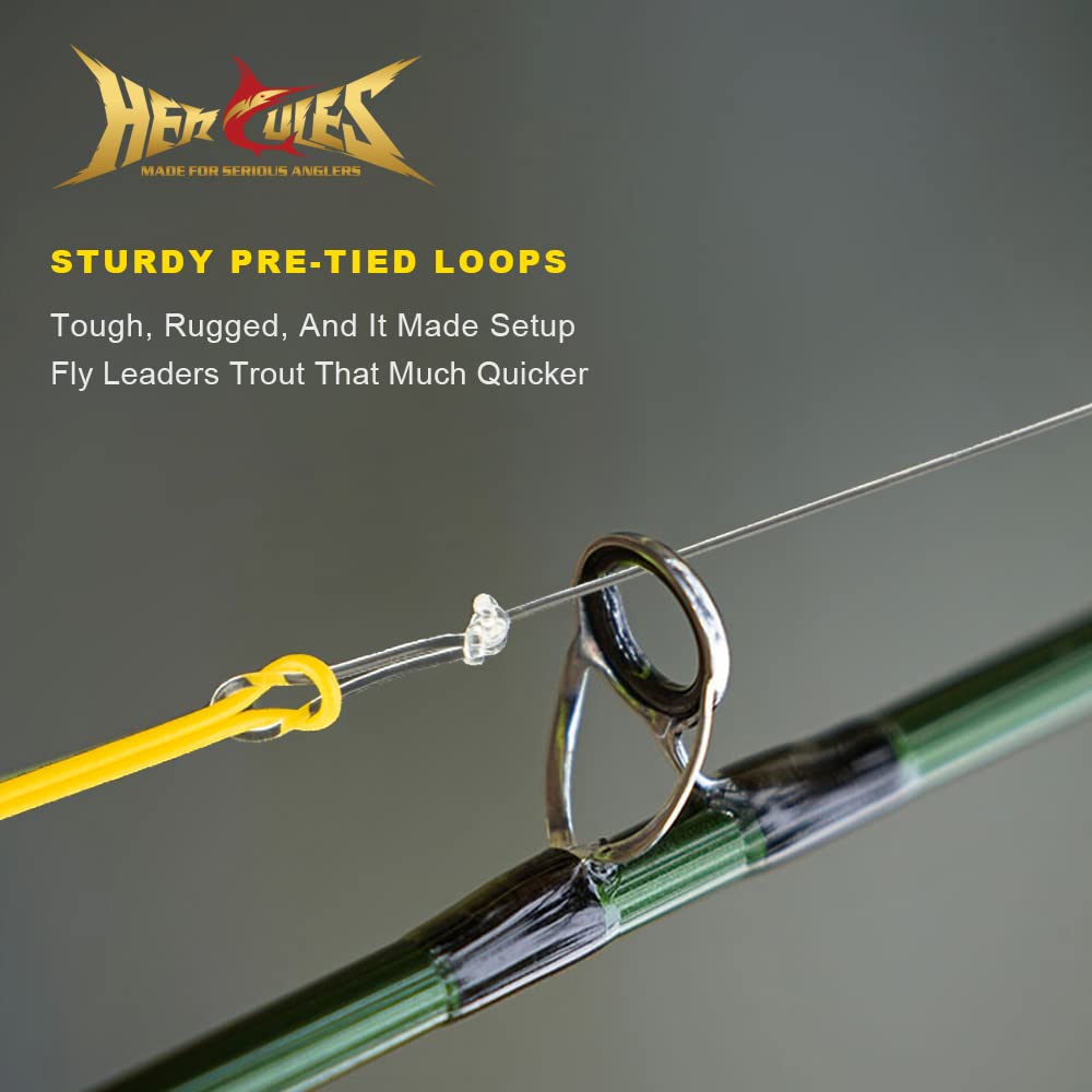 HERCULES Pre-Tied Loop Fly Fishing Leader 6 Pack with Tapered Leader Wallet, 9FT - 3X 4X 5X