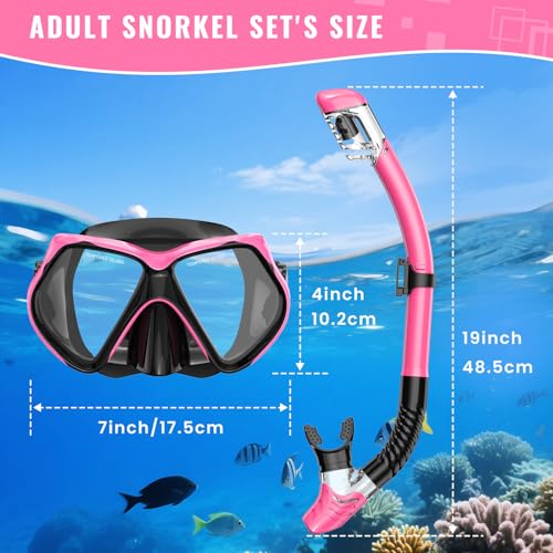 Snorkeling Gear Set for Adults - Dry-Top Snorkel & Mask - Black+Pink