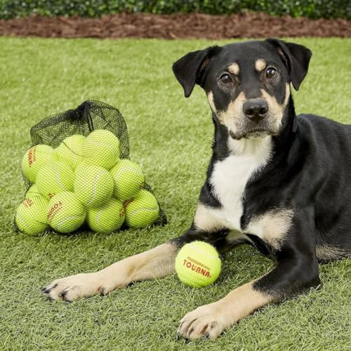 Tourna 45-Count Pressureless Tennis Balls in Vinyl Tote