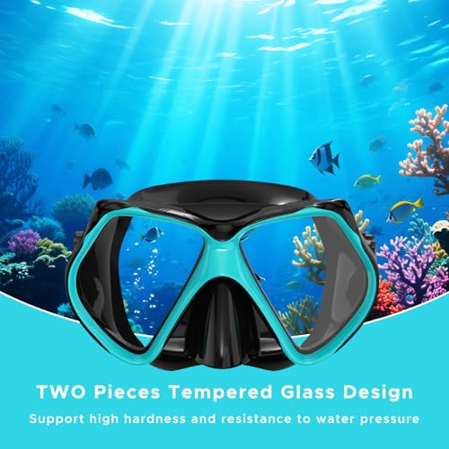 Jwintee Adult Snorkeling Set Gray+Green Dry Snorkel Mask Fins Travel Gear