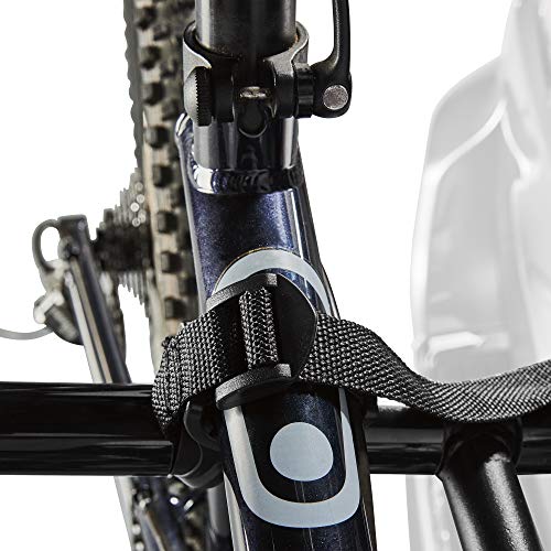 Deluxe 2-Bike Hitch Mount Rack - Silver/Black (522RR)