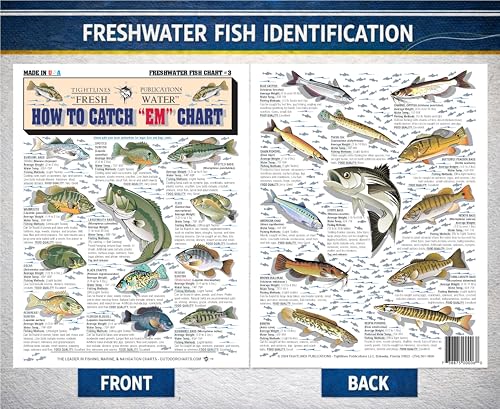 Freshwater Fish Identification Chart - Waterproof Quick Reference Guide