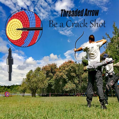 24 Black Screw-in Archery Field Points for Target Shooting, 100 Grain