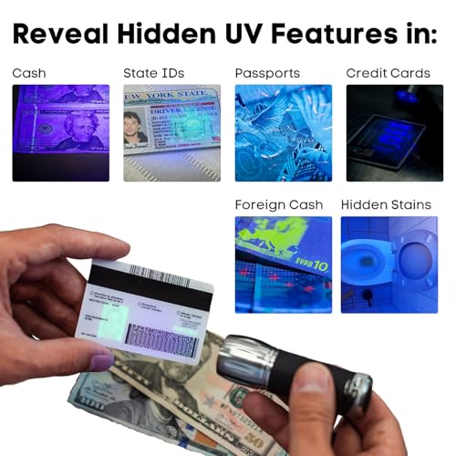 Dri Mark UV Pro Proprietary UV Flashlight Document Fraud & International Counterfeit Money Detection - Detects Pet Urine, Stains & Cleanliness - Loss & Fraud Protection - Batteries Included