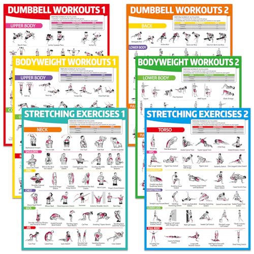 6PCS Colorful Workout Posters Set for Home Gym - Exercise Charts