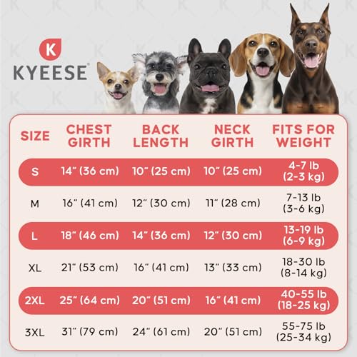 Reflective Dog Shirt for Small Dogs - Lightweight Sun Protection Tank Top - Coral Red, Size S