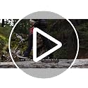 Wise Owl Outfitters Double Camo Black Camping Hammock 500lbs Portable Outdoor Gear