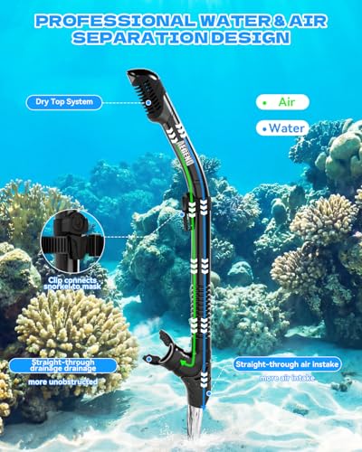 Dry Snorkel for Adults with Adjustable Mask Clip - Black