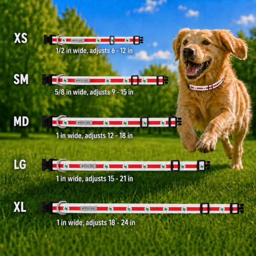 Ohio State Adjustable Dog Collar for Large Dogs - Multicolored Helmet