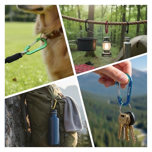Carabiner Clip Variety Pack - Small, Medium, Large - 12 Colors