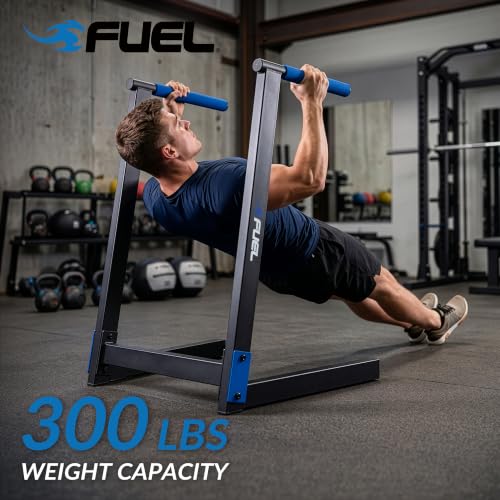 Dip Station for Bodyweight Training - Black/Blue