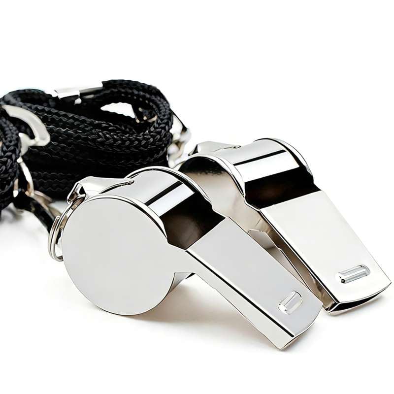 Stainless Steel Sports Whistle 2-Pack with Lanyards for Coaches & Referees