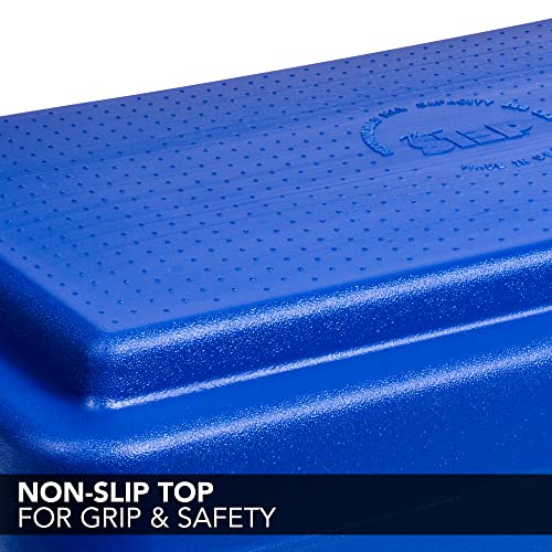 Freestyle STEP 6 Inch Stackable Aerobic Step Platform for Home Gym
