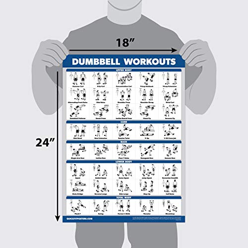 Dumbbell Workout Posters - 3 Pack Laminated Exercise Charts (18" x 24")