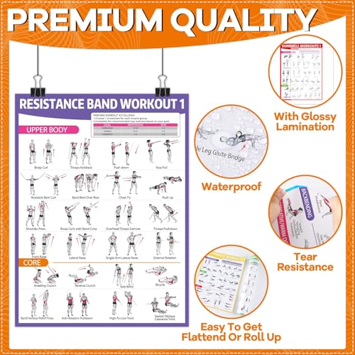 12PCS Colorful Workout Posters Set - Home Gym Exercise Charts