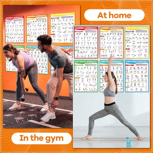 6PCS Colorful Workout Posters Set for Home Gym - Exercise Charts