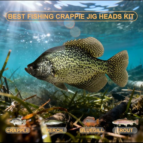 Crappie Jig Head Hook Kit - 45 Pack with Vibrant Colors