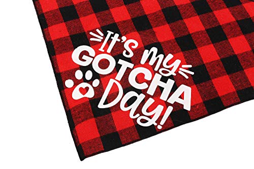 Dog Birthday Bandana - Gotcha Day & Adoption Pet Scarf