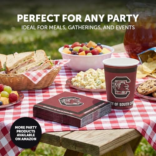 University of South Carolina Paper Cups - 20 Count, 9 oz
