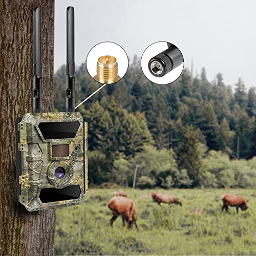 8dBi Omni-Directional Cellular Trail Camera Antenna - Pack of 2